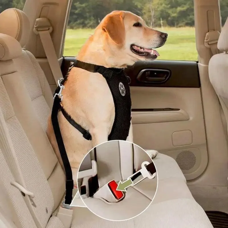 Breathable Mesh Dog Harness: Ultimate Comfort & Safety for Your Pet