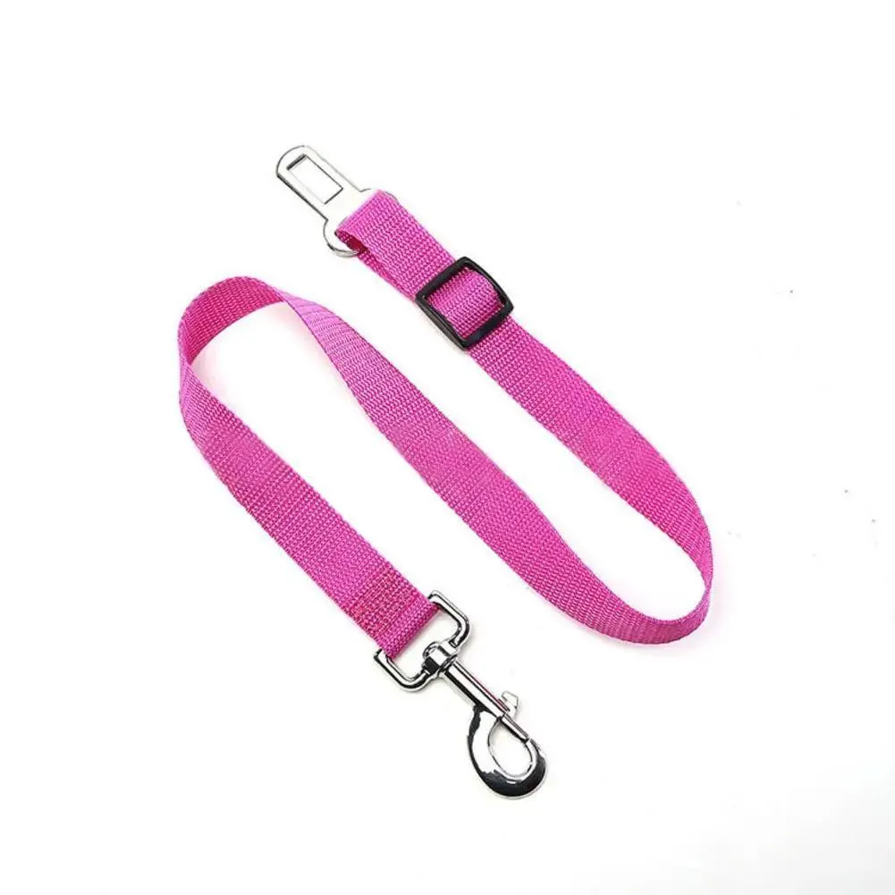 Breathable Mesh Dog Harness: Ultimate Comfort & Safety for Your Pet