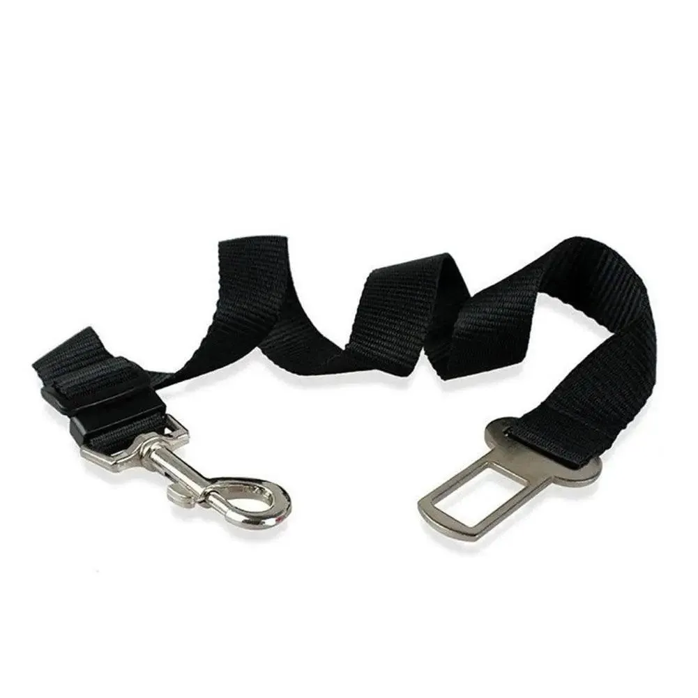 Breathable Mesh Dog Harness: Ultimate Comfort & Safety for Your Pet