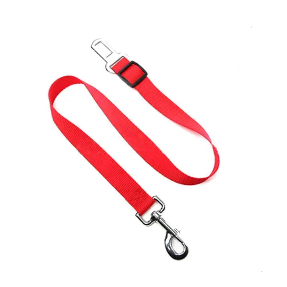 Breathable Mesh Dog Harness: Ultimate Comfort & Safety for Your Pet