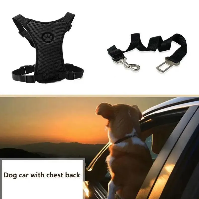Breathable Mesh Dog Harness: Ultimate Comfort & Safety for Your Pet
