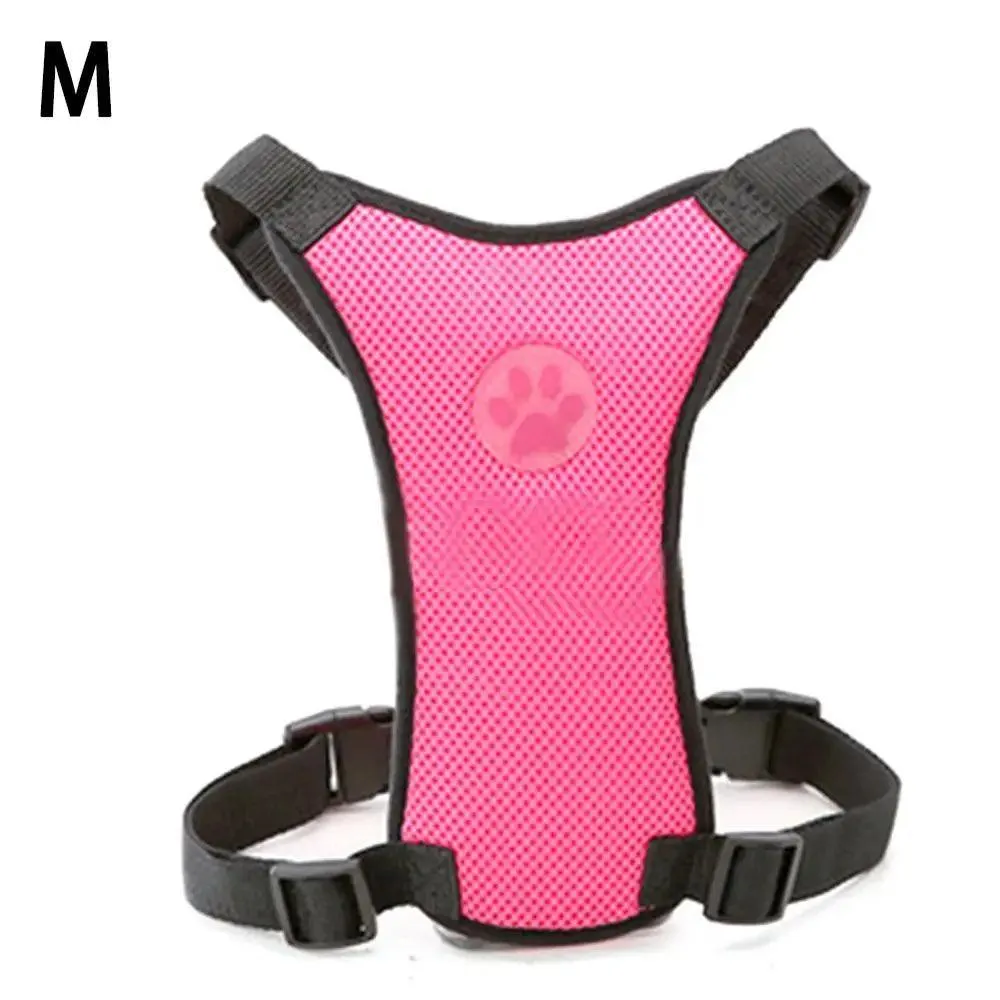 Breathable Mesh Dog Harness: Ultimate Comfort & Safety for Your Pet