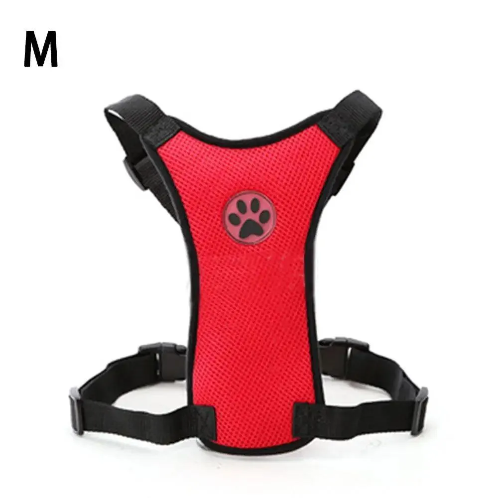 Breathable Mesh Dog Harness: Ultimate Comfort & Safety for Your Pet