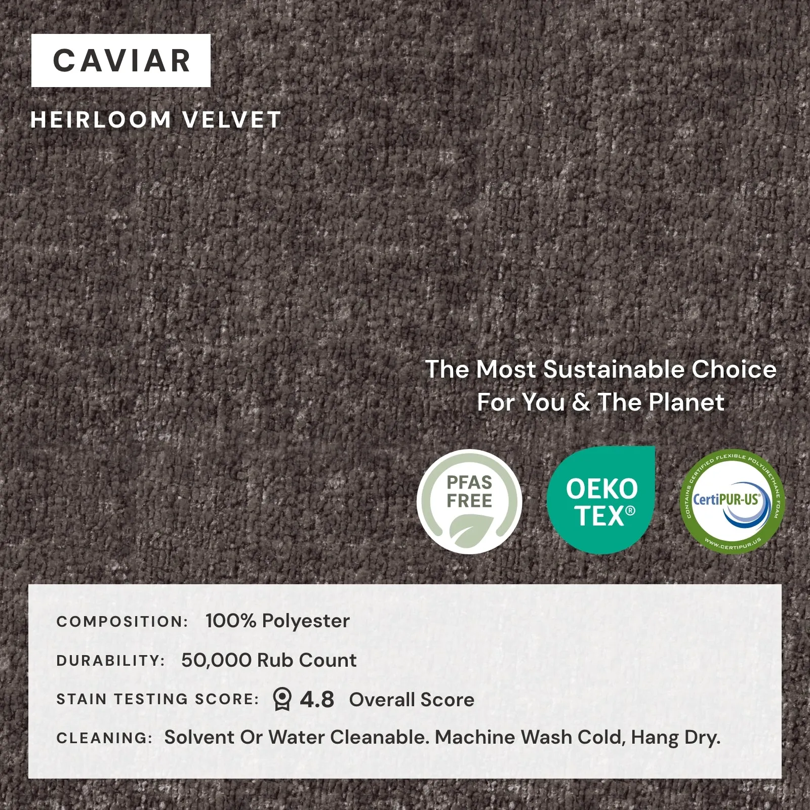 Elevate Comfort Layer for Armchair in Caviar