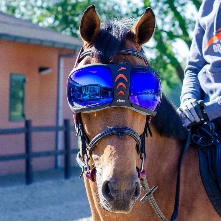 eQuick eVysor Horse Mask - Horse Comfort - Mirrored Blue