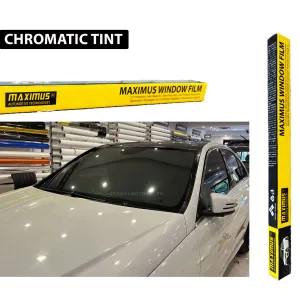 Maximus Chromatic Silver Tint (1 Front Screen)